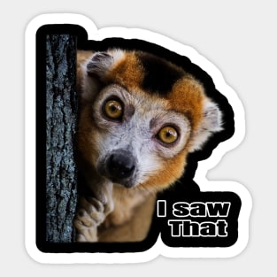 I saw that lemur Sticker